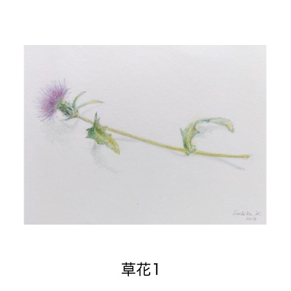 草花1