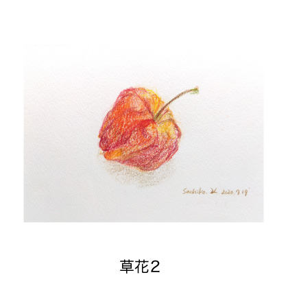 草花2