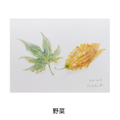 野菜